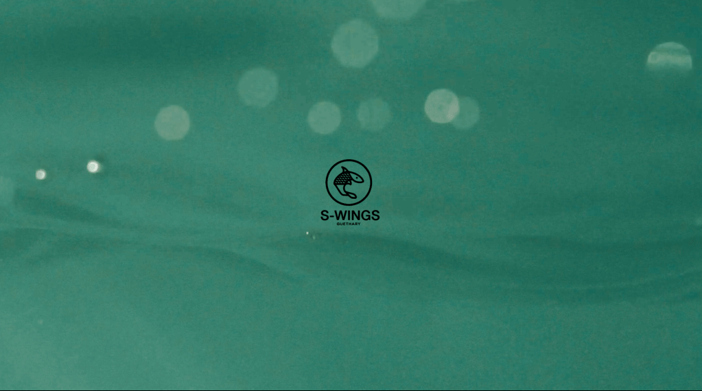 Création de contenus pour&nbsp;S-Wings