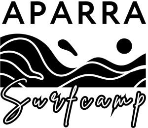 vidéaste photographe pays basque biarritz surf